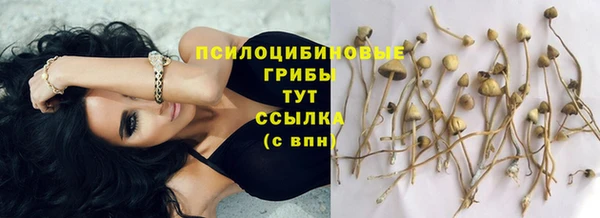 дурь Абинск